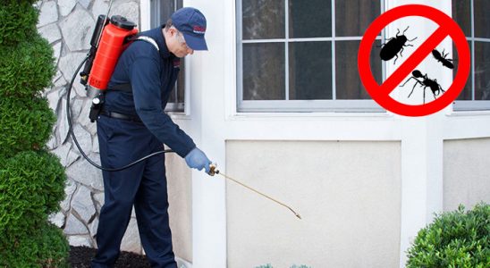 Sarayköy Dezenfeksiyon böcek ilaçlama ve haşere kontrolü — ilaclama-tr.com